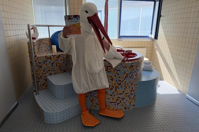 Ein echter Storch machte Werbung für die Familienmesse „Storch im Anflug“ am 5. September 9 bis 13 Uhr im Volkshaus Döbeln.