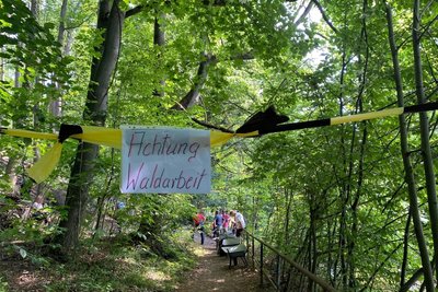 Die Holz-Räumaktion in Lichtenwalde beschäftigt auf Drängen der Bürgerinitiative nun die zuständigen Behörden.