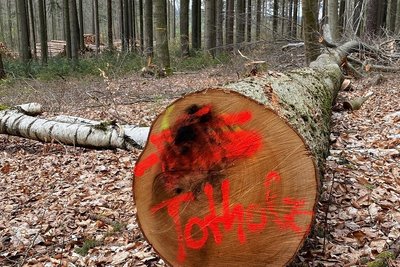 Gut gemeinter Hinweis: An diesen Baum im Gelenauer Revier wurde gleich rangeschrieben, dass er im Wald liegen bleiben soll. 
