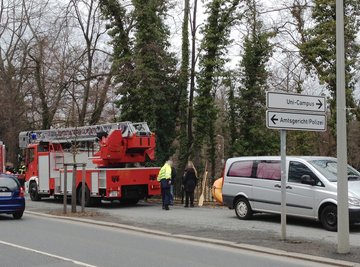 Am Dienstagvormittag ist aus einem Teich in Freiberg eine Frauenleiche geborgen worden.