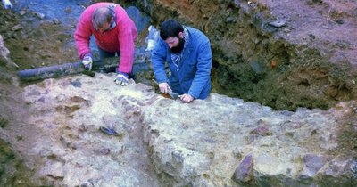 Vor Ostern 1996 wurden bei Modernisierungsarbeiten Mauerreste der Vorgängerburg Schellenburg gefunden. Sofort machten sich Grabungstechniker des Landesdenkmalamtes daran, die Funde zu dokumentieren. 