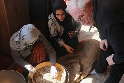 Hauptsächlich Afghaninnen erfuhren im Projekt zur Nussproduktion, wie sie die Qualität der Nüsse prüfen können. Wolfram Fischer schaute zu.