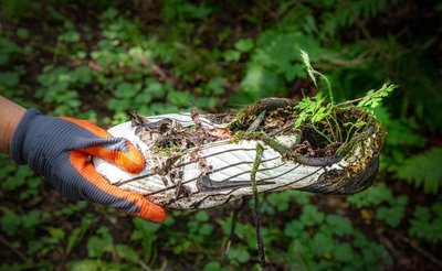Ein Fußballschuh - einst sicher ein teures Exemplar - achtlos weggeworfen. Gut zu sehen, dass die Natur letztlich ihr Revier behauptet. Aber vielleicht hätte man mit dem gebrauchten Schuh auch eine Freude machen können.