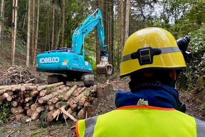 Helfen, wo Hilfe Not tut. Diesmal packen die Reichenbacher in einem Wald nahe Rech an.