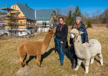 Anja Waldinger (l.) und Manuela Kehn mit zwei Alpaka-Hengsten vor dem im Umbau befindlichen Gebäude im Olbernhauer Ortsteil Hirschberg. 