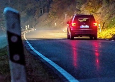 Auf diesem Abschnitt zwischen Olbernhau und Seiffen wurden die toten Tiere beobachtet. 