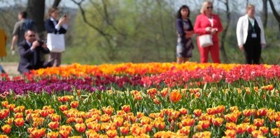 Bunte Blumenbeete gab es 2019 bei der Landesgartenschau in Frankenberg. Nun soll Bad Schlema erblühen. 