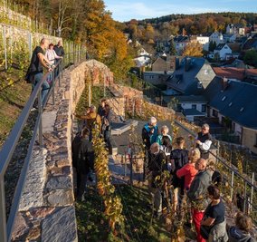 Vom herbstlichen Weinberg bot sich ein prächtiger Blick über die Stadt.