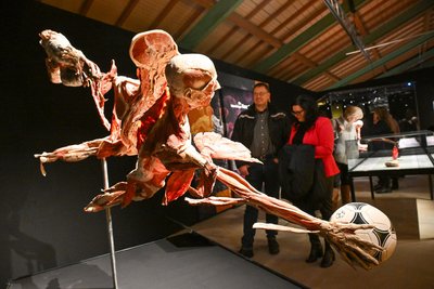 Chemnitz Markthalle Körperwelten Ausstellung Besucher Kinder und Jugendliche.