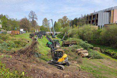 Auf der Fläche zwischen Bahnhofstraße und Weißer Elster wurden Gehölze entfernt.