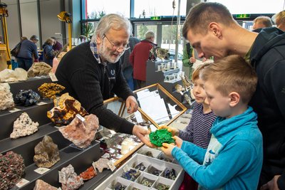 Die Mineralienschau in Flöha ist ein Besuchermagnet. Am Sonnabend findet sie zum 34. Mal statt.