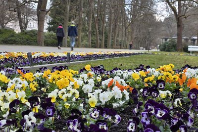 Die Parkanlagen in Bad Elster laden zu Frühlingsspaziergängen ein.
