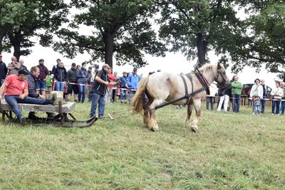 Der Berg ruft: In Markneukirchen steigt am Wochenende das traditionelle Bergfest.