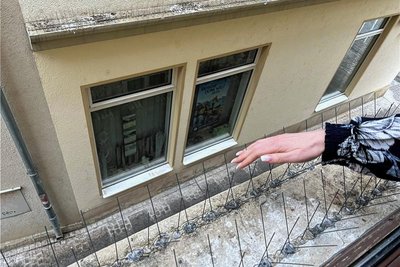 Blick auf die Salzgasse: Mit diesen auf Leisten aufgebrachten Metallspitzen sollen die Stadttauben vom Rathaus ferngehalten werden. 