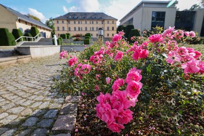 Interessierte können den Französischen Garten am Kulturpalais mitgestalten.