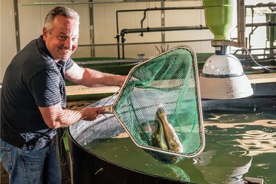 Wie anderenorts in Deutschland - das Foto zeigt eine Aquakultur in  Hessen - sollen bald auch in Elsterberg Zander gezüchtet und vermarktet werden.