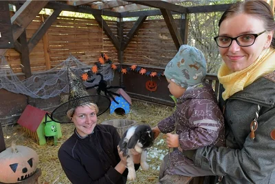 Im Tierpark Freiberg hat sich Mitarbeiterin Lisa Härtel (l.) schon schick für die Halloweenparty gemacht. Besucherin Tina Mecke und ihr zweijähriger Sohn Nick (2), der gerade ein Häschen streichelt, freuen sich sehr darüber. 