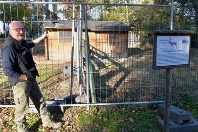 Der erste große Herbststurm hat auch im Freiberger Tierpark seine Spuren hinterlassen. Zoodirektor Peter Heinrich zeigt auf die Schäden an der Hütte für das Damwild. Der Zaun ist ein Provisorium.