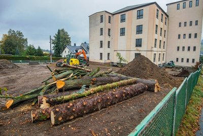 Die Holzstämme liegen noch auf dem Gelände neben dem ehemaligen Berufsbildungszentrum. Die Planer wollten die Bäume eigentlich in den neuen Spielplatz integrieren. 