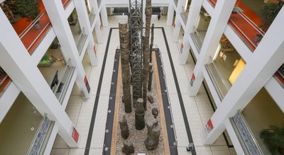 Das menschenleere Foyer des Tietz war zuletzt der Coronapandemie geschuldet - die Probleme der Einrichtung reichen allerdings weiter zurück. Geschäfte im Erdgeschoss kamen und gingen. Versuche gastronomischer Angebote jenseits von Fleischer- und Bäckerimbiss scheiterten immer wieder. Bringen geplante "punktuelle Anpassungen" eine nachhaltige Lösung? 
