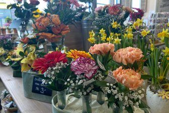 24-Stunden-Laden Freiberg: Ein Schritt in die Gegenwart für Innenstädte - Blumen im Blumenladen Bimberg