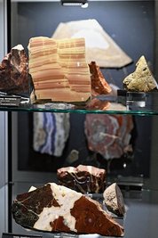 Die Galerie der Varietäten.