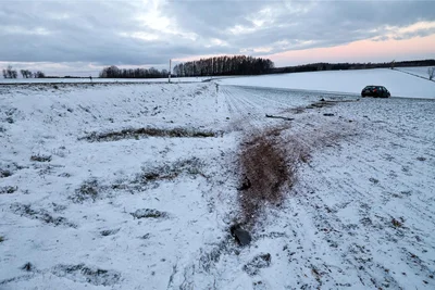 Das Auto überschlug sich und kam auf dem Feld zum Stehen.