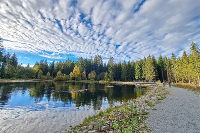 Der Heideteich liegt im Geyerschen Wald nur wenigen Minuten vom Wanderparkplatz an der Zwönitzer Straße entfernt.