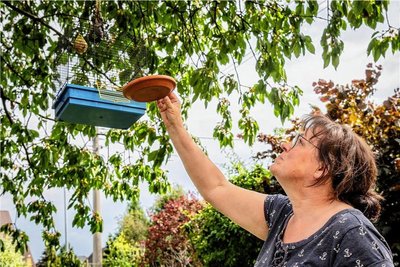 Evelyn Pilz aus Mühlau hält eine Schale mit Wasser an einen im Baum hängenden Vogelkäfig. Die 57-Jährige hat drei Blaumeisen aufgezogen, die so zahm geworden sind, dass sie zum Baden kommen.