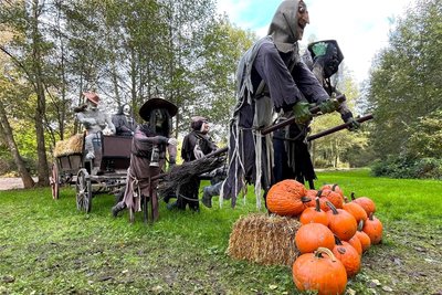 Schaurig schön: Diese von vier Hexen gezogene Geisterkutsche ist auf einer Wiese im Plohnbachtal zu finden.