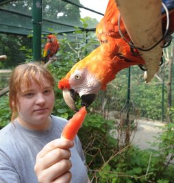 Tierpark 