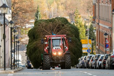 Gegen 9.30 Uhr traf die 15 Meter hohe und etwa 1,7 Tonnen schwere Fichte in der Marienberger Innenstadt ein. Der Transport von Sorgau bis in die Bergstadt wurde von der Polizei begleitet. Hinter dem Traktor samt Auflieger bildete sich eine längere Autoschlange. 