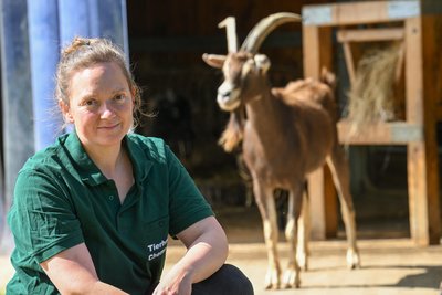 Auch um Ziegen kümmert sich Anne Schilling auf dem Gelände des Tierheims. Einige von ihnen sind schon über 13 Jahre da.