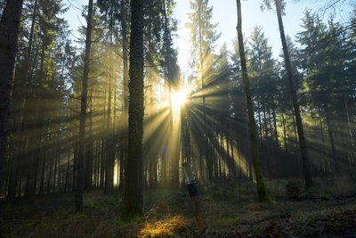 Der Frankenwald ist ein Paradies für Wanderer.