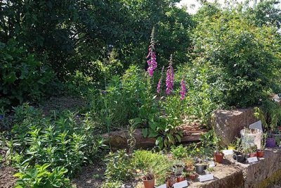 Auch eine Pflanzentauschbörse ist im Naturgarten geplant.