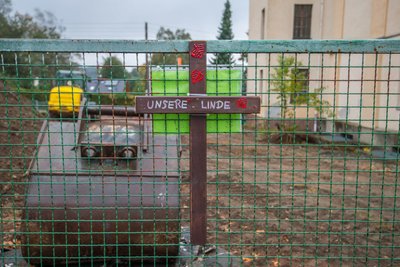 Dieses Kreuz erinnert an eine gefällte Linde.