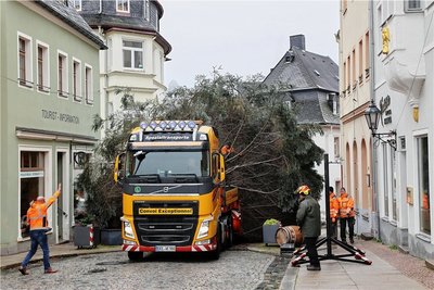 Die Äste streiften die Fassaden.