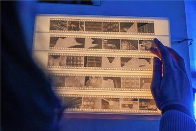 Nahezu alle Fotos der Ausstellung wurden mit analogen Kameras aufgenommen, sodass auch Negative zu sehen sind. 