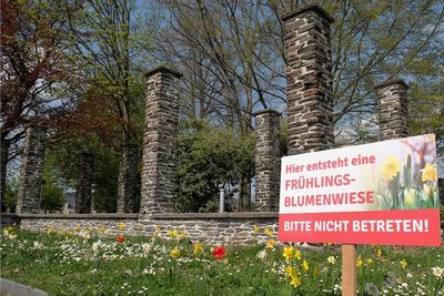 Die Pergolen links vorm Wasserturm wurden entfernt. Sie erhalten bald frisches Holz. Davor wurde eine Frühlingsblumenwiese angelegt.