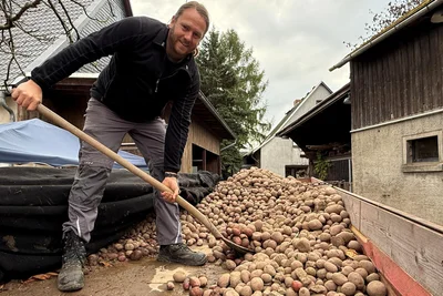 Schon die Großeltern bauten Kartoffeln an und verkauften sie. Andreas Lange aus Flöha hat drei Sorten im Angebot.
