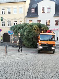 Am Donnerstag ist der Baum nach Zschopau gebracht worden.
