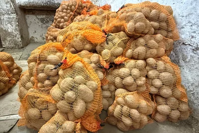 Abgesackt wird in Gebinde zu fünf, zehn und 25 Kilo Gewicht. Aber es gibt auch Leute, die bestellen 300 Kilo auf einmal.
