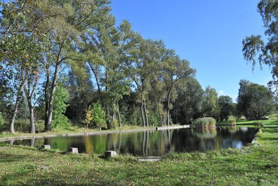 Das Scheibenberger Freibad ist heute ein Angelteich. An den einstigen Badespaß erinnern nur noch die Startblöcke.