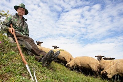 Der Beruf ist sein Leben: Schäfer Michael Ulsamer mit seinem Schäferstab und den Schafen im Naturschutzgebiet Großer Weidenteich. Er trägt die Verantwortung für 600 Tiere.