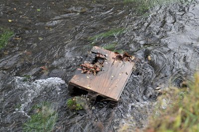 Eine der Paletten, mit denen die Mauerreste des ehemaligen Freibades winterfest gemacht worden waren, landete im nahen Fluss.