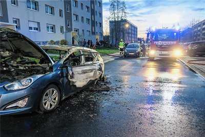 Das brennende Auto löschte die Feuerwehr. Foto: Niko Mutschmann