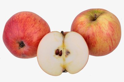 Die rot-marmorieren Früchte der Oberlausitzer Muskatrenette sind von süß-säuerlichem Geschmack, das Fruchtfleisch ist gelblich-weiß.