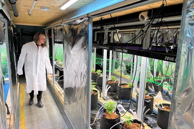 Der Reitzenhainer Cannabis-Club „Schöne Neue Welt“ – hier Club-Mitglied Melanie Neubert – baut in einer ehemaligen Knödelfabrik Hanfpflanzen an.