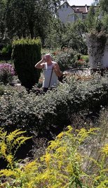 
              <p class="artikelinhalt">Verständnislos kratzt sich Kleingärtner Helmut Kroll am Kopf. Sein Widerspruch zur Gartenpacht ist eine unendliche Geschichte. </p>
            