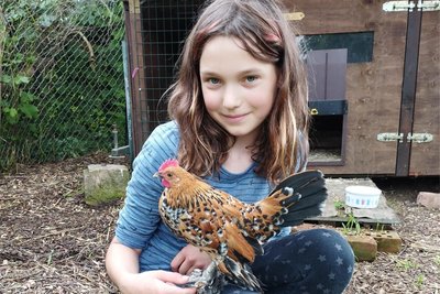 Lina Dunger (11) wächst von klein auf mit Tieren auf, hier mit der Hühnerrasse Federfüßiger Zwerghahn, der im März geschlüpft ist. Mit viel Geschick hat sie in den ersten Lebenstagen den kleinen Hausrotschwanz gefüttert, der fast gestorben wäre.
